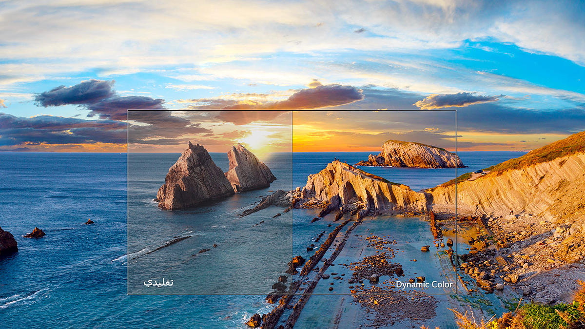 OLED TVs - Unmatched Color Realism